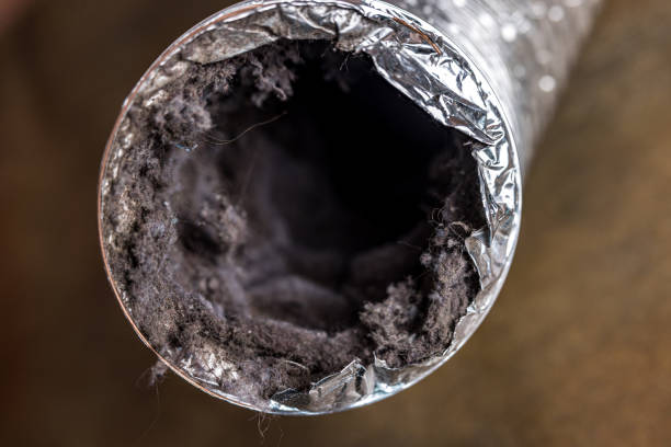 Air Duct Mold Removal in Glenvar Heights, FL