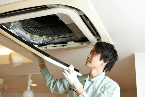 Best Air Quality Test  in Glenvar Heights, FL
